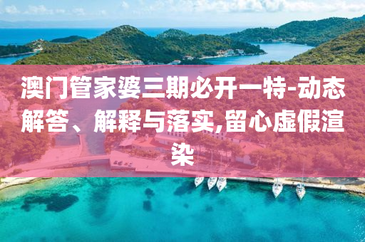 澳門管家婆三期必開一特-動態解答、解釋與落實,留心虛假渲染