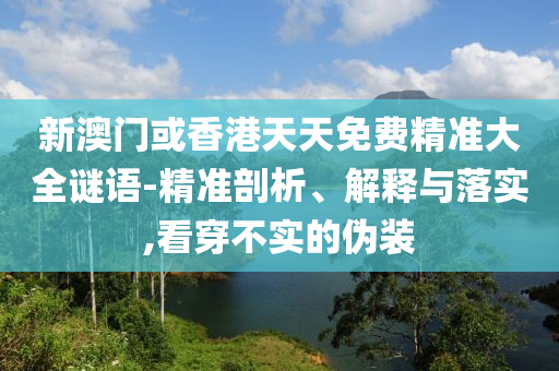 新澳門或香港天天免費精準(zhǔn)大全謎語-精準(zhǔn)剖析、解釋與落實,看穿不實的偽裝