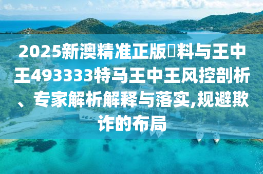 2025新澳精準正版資料與王中王493333特馬王中王風控剖析、專家解析解釋與落實,規避欺詐的布局
